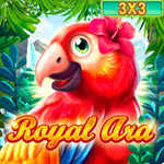 Royal Ara (3x3)