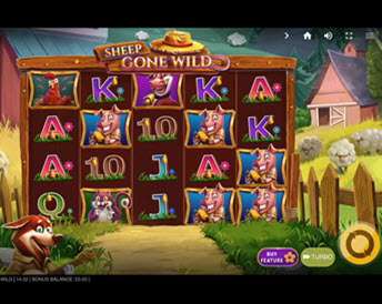 Sheep Gone Wild