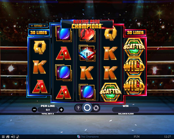 Boxing Ring Champions