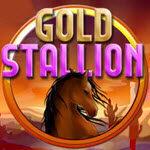 Gold Stallion
