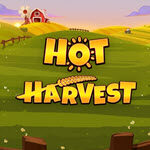 Hot Harvest
