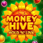 Money Hive Hold 'N' Link