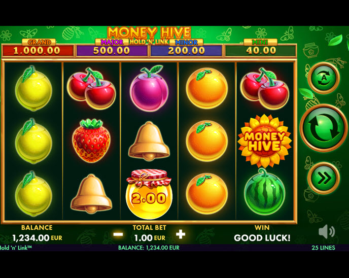 Money Hive Hold 'N' Link