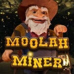 Moolah Miner