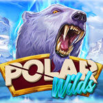 Polar Wilds