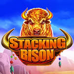 Stacking Bison