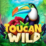 Toucan Wild