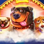 Турнір Pragmatic Play на 10 000 EUR ад Cosmic Slot Casino і BurningBet Casino