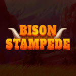Bison Stampede
