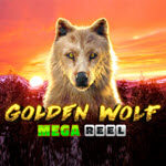 Golden Wolf Mega Reel