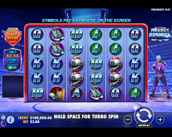 Hockey Bonanza