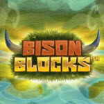 Bison Blocks