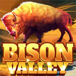 Bison Valley