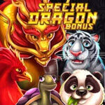 Special Dragon Bonus (3x3)