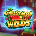 A Christmas Full of Wilds