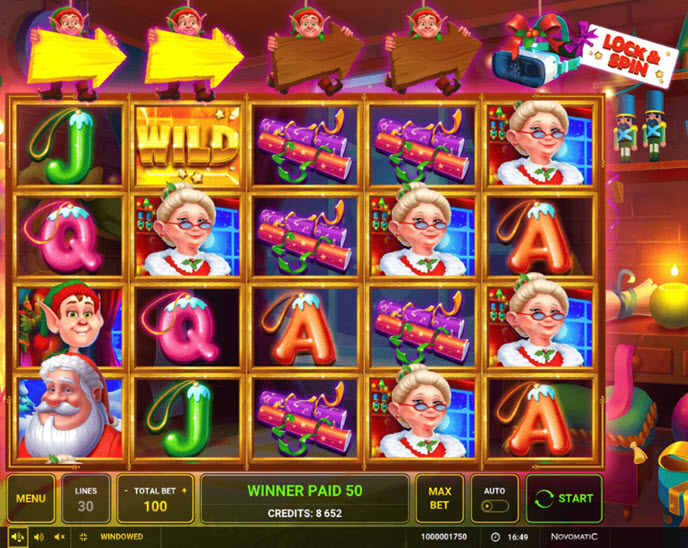 A Christmas Full of Wilds