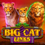 Big Cat Links