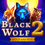 Black Wolf 2