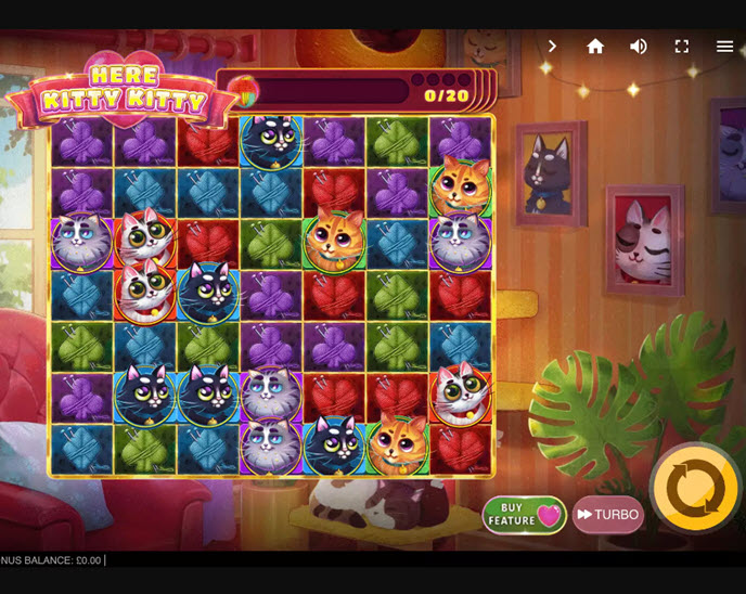 Here Kitty Kitty