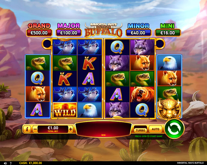 Immortal Ways Buffalo