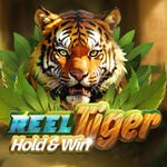 Reel Tiger