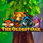 The Oldest Oak