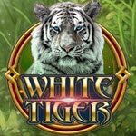 White Tiger (Funky Games)