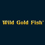 Wild Gold Fish
