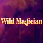 Wild Magician
