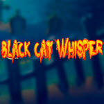 Black Cat Whisper