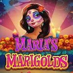 Maria’s Marigolds