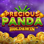 Precious Panda: Hold & Win