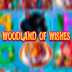 Woodland of Wishes