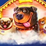 Турнір Pragmatic Play на 20 000 EUR ад Cosmic Slot Casino і BurningBet Casino