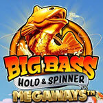 Big Bass Hold and Spinner Megaways