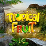 Tropical Fruit (Champion Studio)