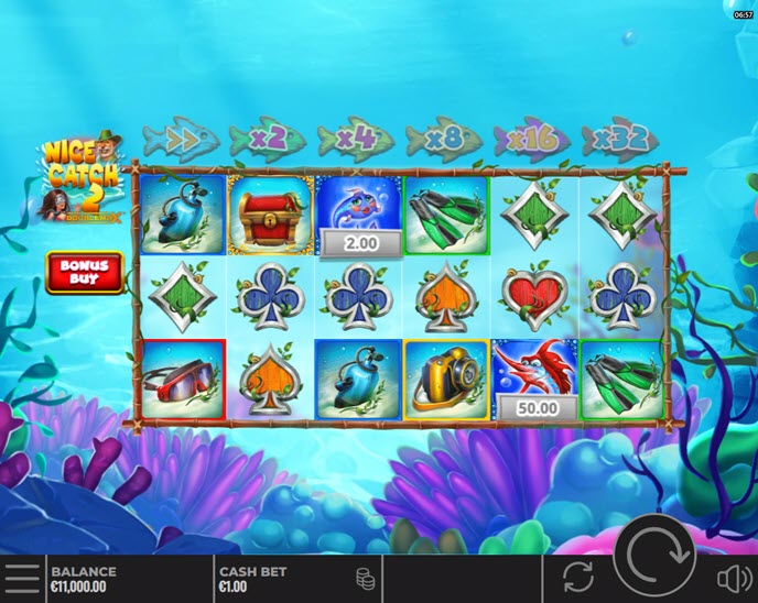 Nice Catch 2 DoubleMax