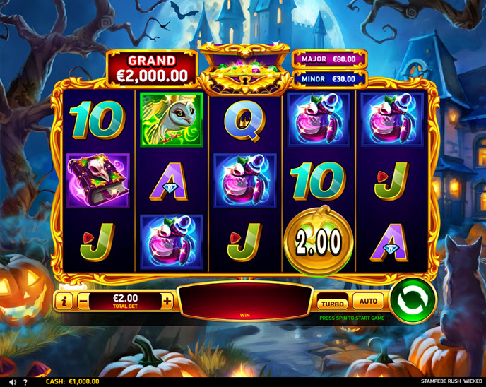 Stampede Rush Wicked