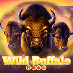Wild Buffalo (Manna Play)