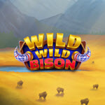 Wild Wild Bison