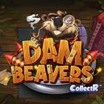 Dam Beavers