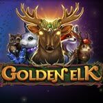 Golden Elk