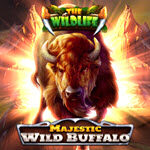 Majestic Wild Buffalo