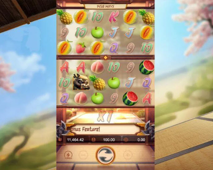 Ninja Raccoon Frenzy