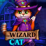 The Wizard Cat