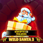 Wild Santa 3