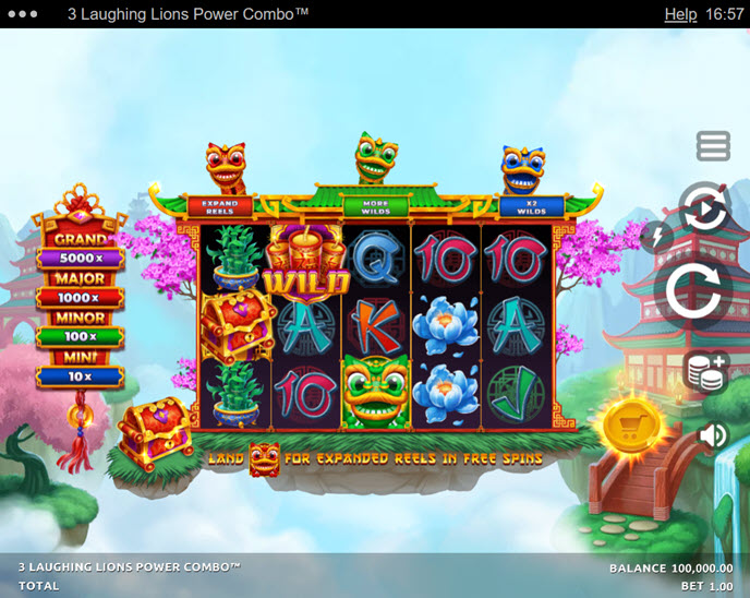 3 Laughing Lions Power Combo