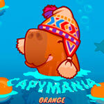 Capymania Orange