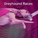 Greyhound Races