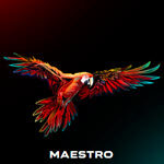 Maestro (Galaxsys)